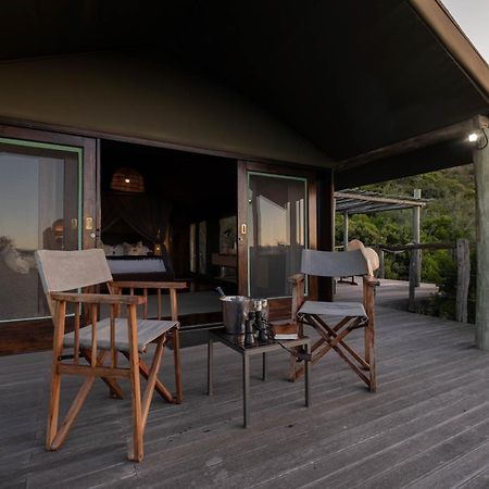 Hillsnek Safari Camp - Amakhala Game Reserve Εξωτερικό φωτογραφία