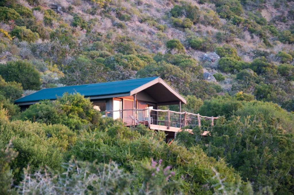 Hillsnek Safari Camp - Amakhala Game Reserve Δωμάτιο φωτογραφία