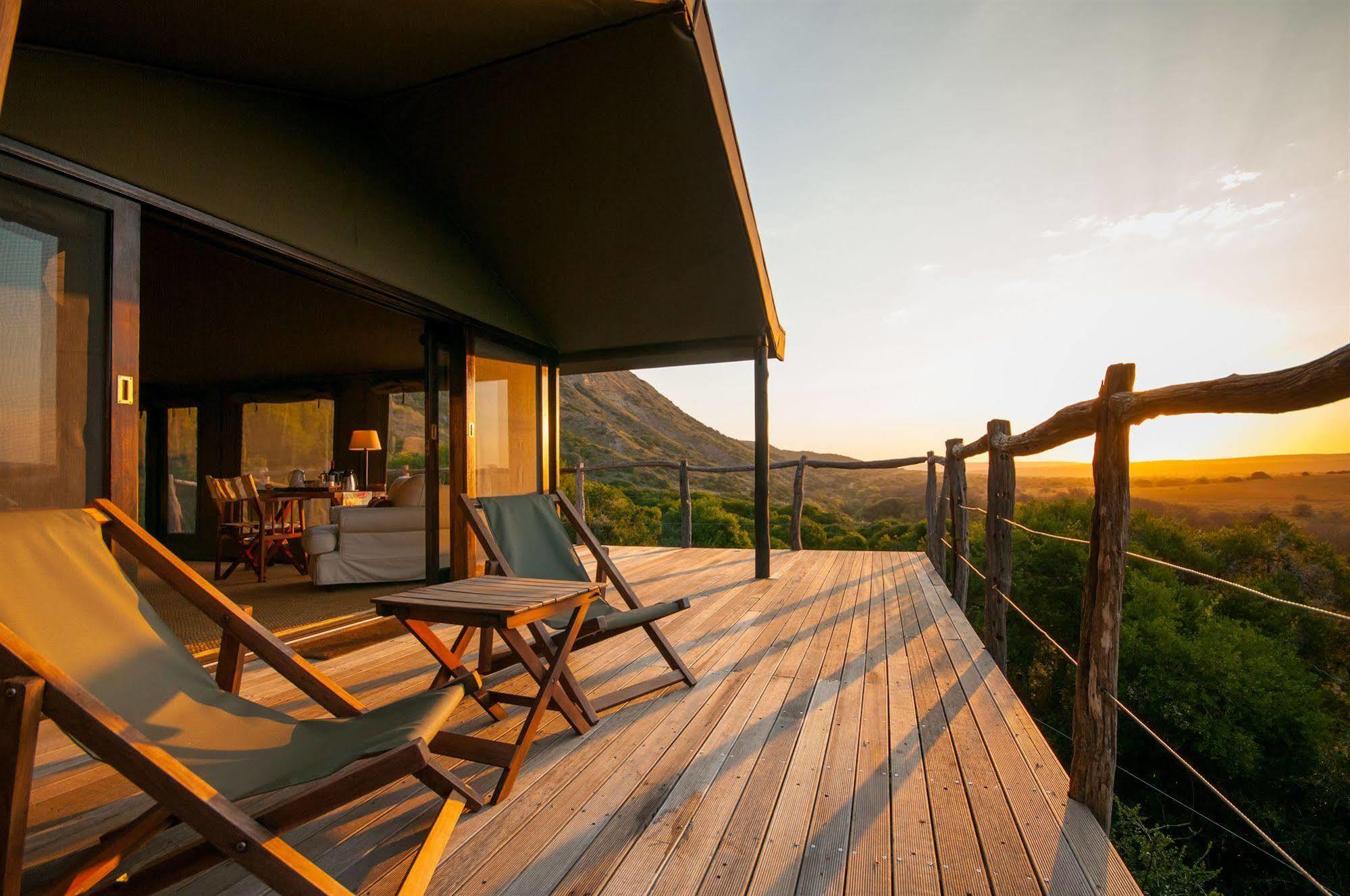 Hillsnek Safari Camp - Amakhala Game Reserve Εξωτερικό φωτογραφία