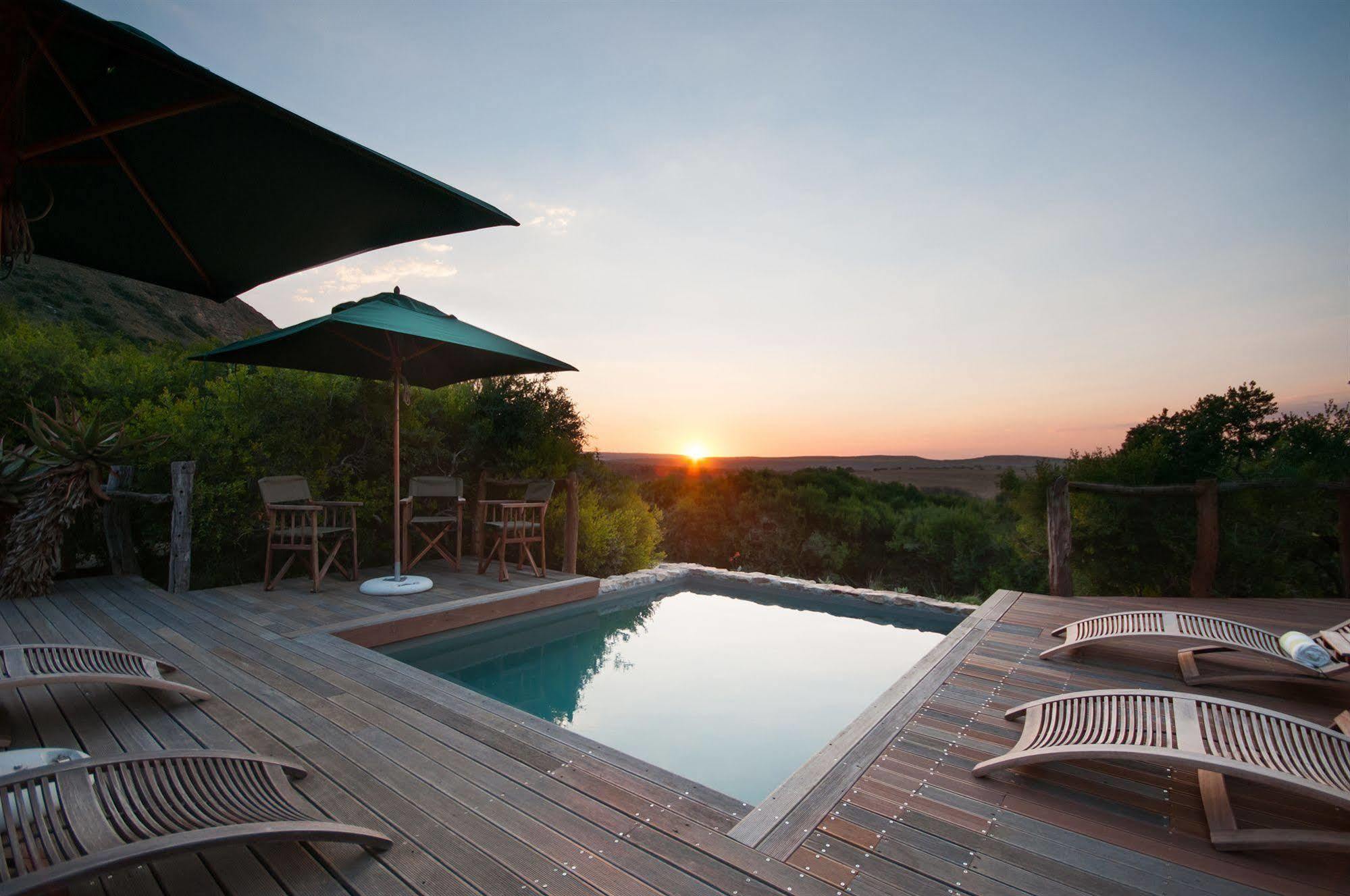 Hillsnek Safari Camp - Amakhala Game Reserve Εξωτερικό φωτογραφία