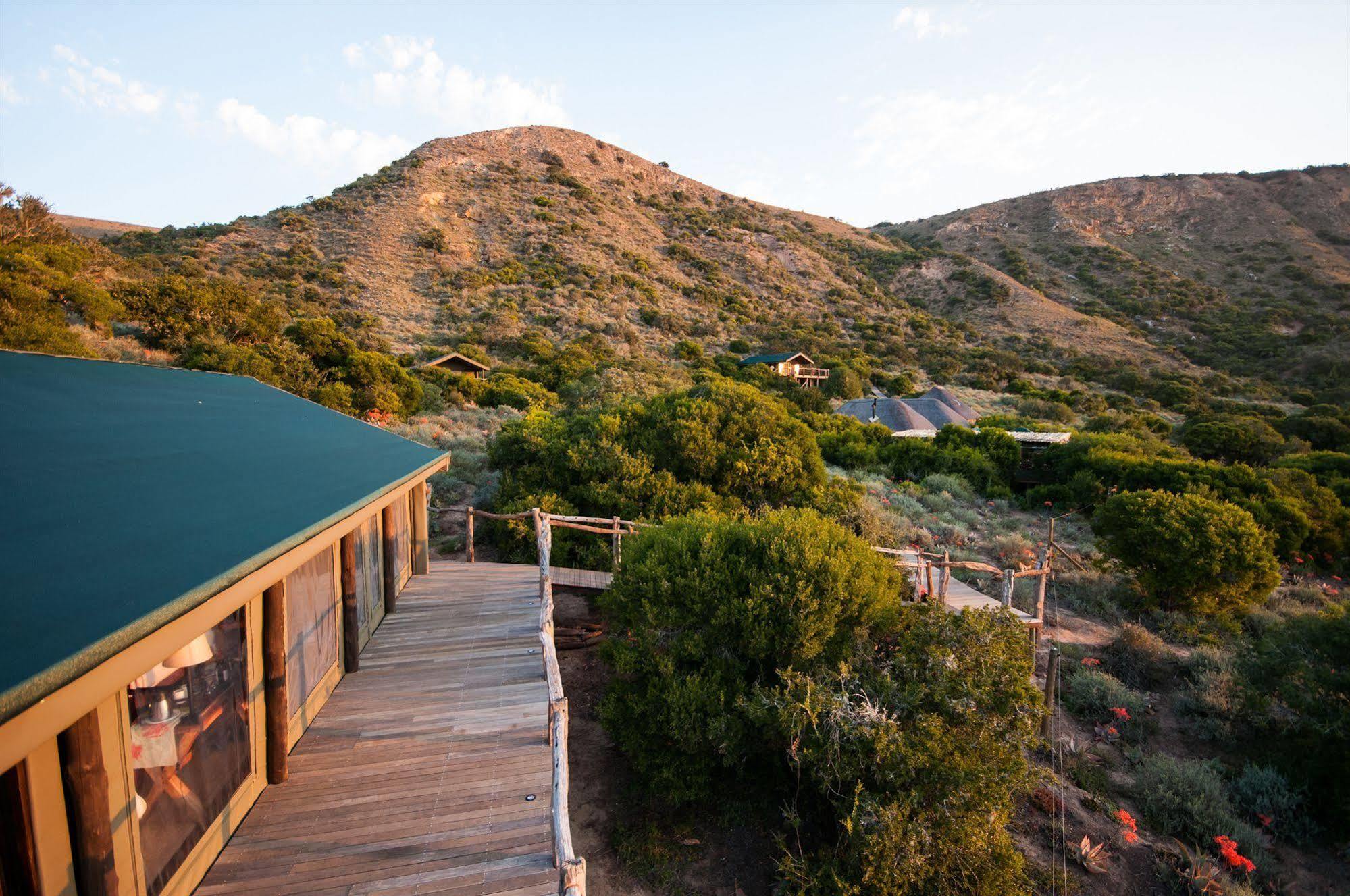 Hillsnek Safari Camp - Amakhala Game Reserve Βίλα Εξωτερικό φωτογραφία