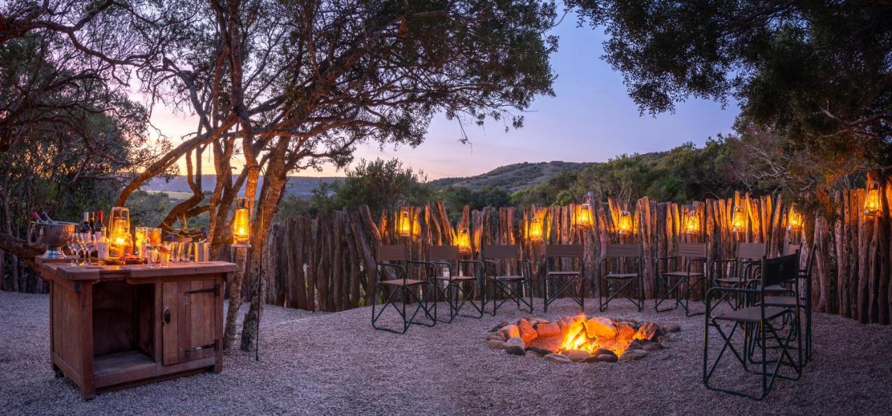 Hillsnek Safari Camp - Amakhala Game Reserve Εξωτερικό φωτογραφία