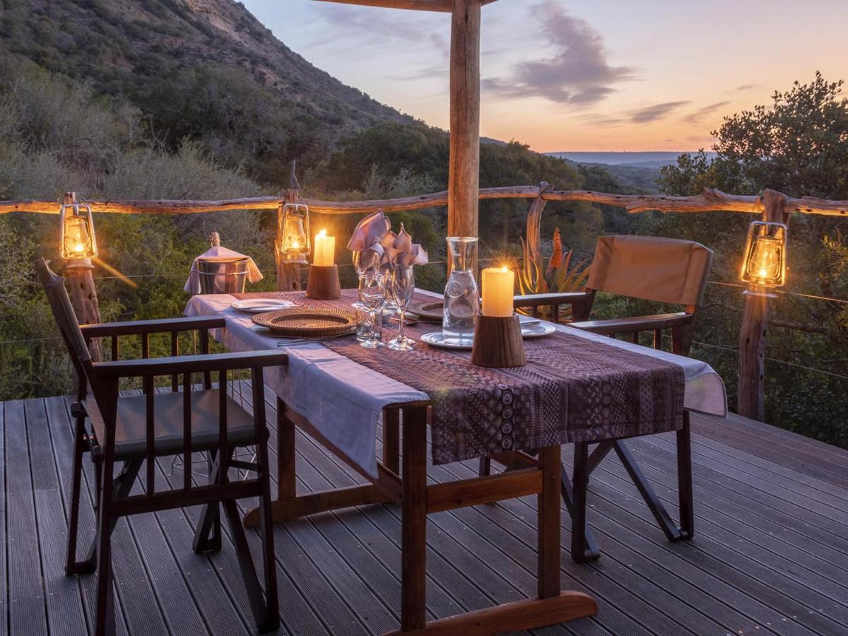 Hillsnek Safari Camp - Amakhala Game Reserve Εξωτερικό φωτογραφία