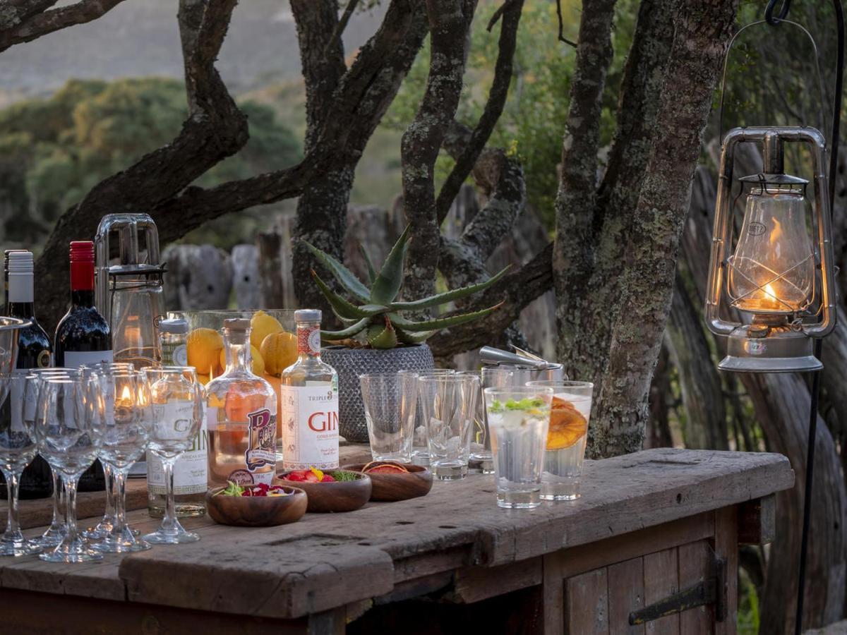 Hillsnek Safari Camp - Amakhala Game Reserve Εξωτερικό φωτογραφία
