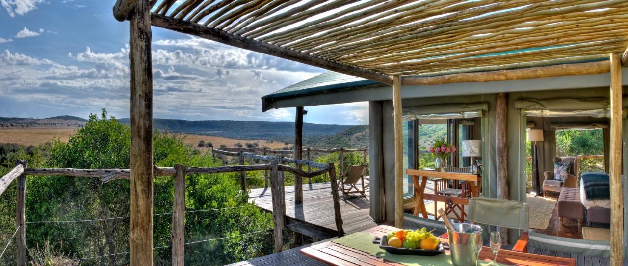 Hillsnek Safari Camp - Amakhala Game Reserve Εξωτερικό φωτογραφία